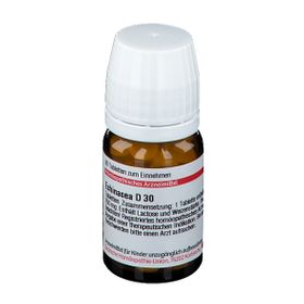 DHU Echinacea D30