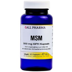 GALL PHARMA MSM 500 mg GPH Kapseln