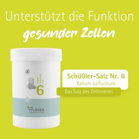 BIOCHEMIE Pflüger 6 Kalium sulfuricum D 6 Tabl.