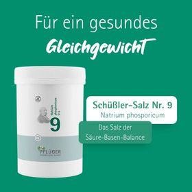 BIOCHEMIE Pflüger 9 Natrium phosphoricum D 6 Tabl.