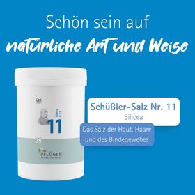 BIOCHEMIE Pflüger 11 Silicea D 12 Tabletten