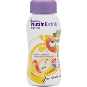 NutriniDrink Smoothie Sommerfrüchte