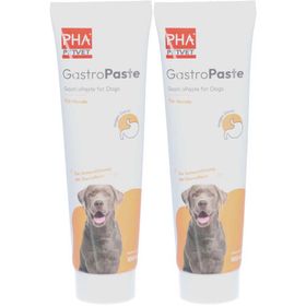 PetVet PHA GastroPaste für Hunde