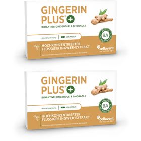 Gingerin PLUS BIO Ingwer Kapseln - 22.000 mg Ingwerpulver