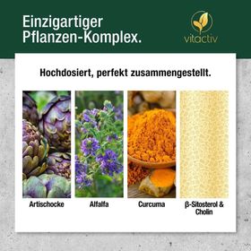 Vitactiv Cholestrosan Formula + Cynarin + ß-Sitosterol
