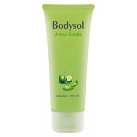Bodysol Aromadusche Ginkgo-Limette