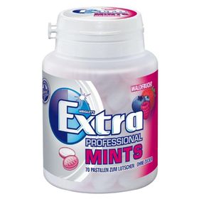 WRIGLEYS Extra Professional Mints Waldfrucht