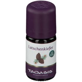 TAOASIS® Latschenkiefer