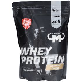 WHEY PROTEIN Caramel Cream