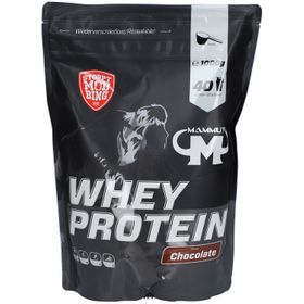 WHEY PROTEIN Chocolate