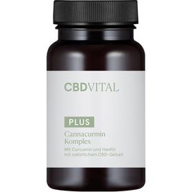 CBD VITAL Cannacurmin Komplex