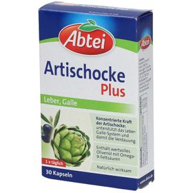 Abtei Artischocke plus