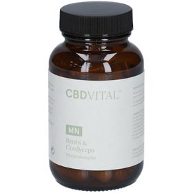 CBD VITAL Reishi & Cordyceps