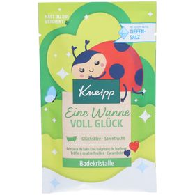 Kneipp Badekristalle Eine Wanne voll Glück