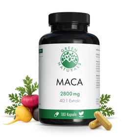 GREEN NATURALS Maca 2800 mg hochdosiert 40:1 vegan