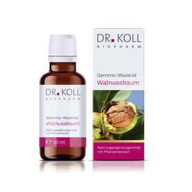 Gemmo-Mazerat Walnussbaum Dr. Koll