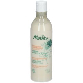 Melvita Les Essentiels Anti-Schuppen Shampoo Bio