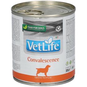 Nassfutter Hund Farmina VetLife - Convalescence