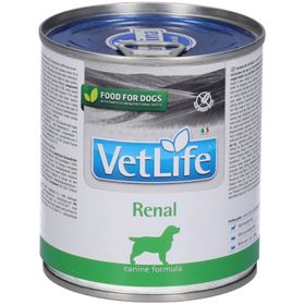 Nassfutter Farmina VetLife - Renal - Hund adult