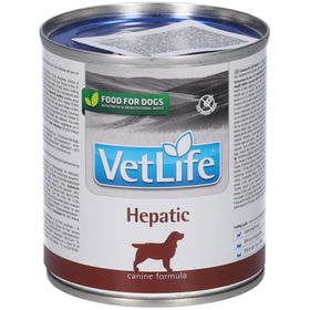 Nassfutter Hund Farmina VetLife - Hepatic