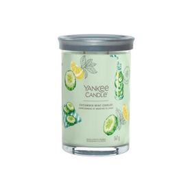 Yc signature large tumbler cucumber mint cooler
