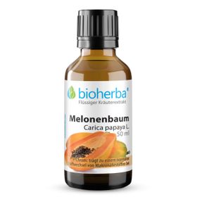Bioherba Melonenbaum Carica papaya L. Tropfen Tinktur