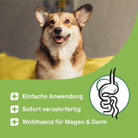 MEDIDOG Probio Vitaldrunk
