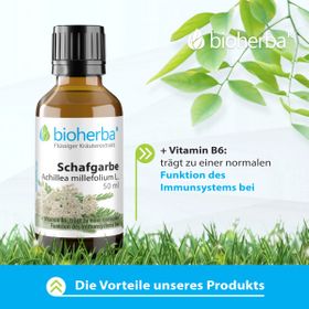 Bioherba Schafgarbe  Achillea millefolium L. Tropfen Tinktur Extrakt
