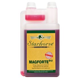 Starhorse Magforte B12