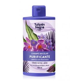 Reinigendes Mizellen-Shampoo