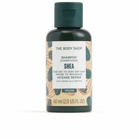 shea-Shampoo