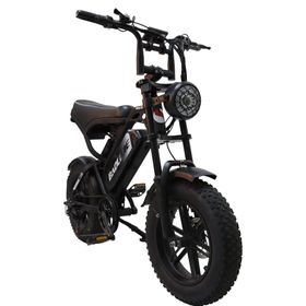 BAOLUJIE F2 E-Bike mit Vollfederung, 48 V 13 Ah, 16" x 4,0"