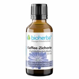 Bioherba Kaffee-Zichorie  Cichorium intybus L.  Tropfen  Tinktur Extrakt