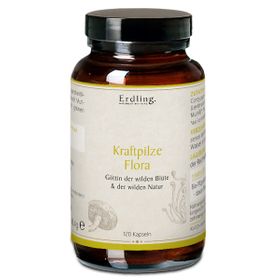 Erdling Kraftpilze Flora – Vitalpilz Synergetikum