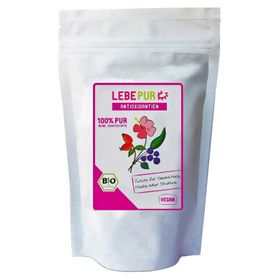 LebePur Bio Smoothie Pulver Antioxidantien