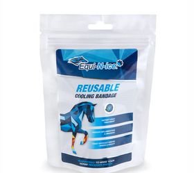 Equi-N-Ice Cooling Bandage