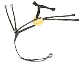 Cheval Vorderzeug 5 Punkte