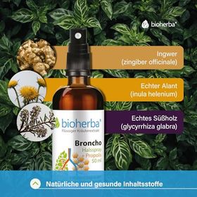 Bioherba Halsspray Broncho mit Propolis Extrakt
