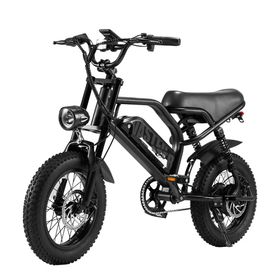AVDL A13 Vollgefedertes E-Bike, 36V 12,8Ah Wechselakku