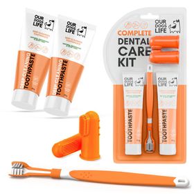 Dental Kit - DogsLife
