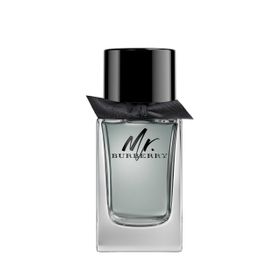 Burberry Mr. Burberry Eau De Toilette Spray 100ml