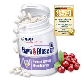 GIGI VET Harn & Blase