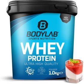 Bodylab24 Whey Protein Pulver, Pannacotta