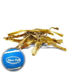 Lyra Pet® Rinderkopfhautstangen ca. 50 cm + Tennis Ball