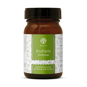 Waldkraft Kraftpilz Cordyceps – Vitalpilzpulver