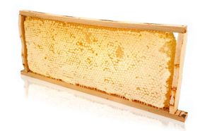 ImkerPur. Ganzes Wabenrähmchen