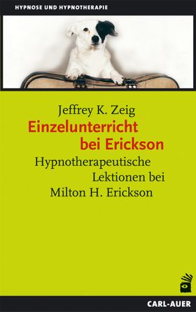 Einzelunterricht bei Erickson