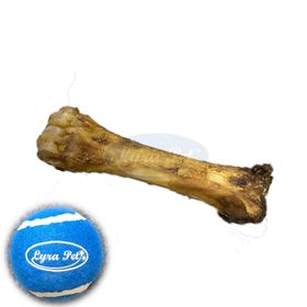 Lyra Pet® Rinderknochen + Tennis Ball
