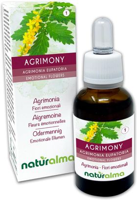 Naturalma Agrimony Agrimonia eupatoria Tropfen
