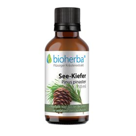 Bioherba See-Kiefer  Pinus pinaster  Tropfen  Tinktur Extrakt